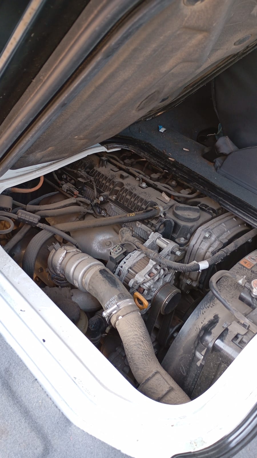 MOTOR DE PARTIDA Kia FRONTIER D/CAB. 2010  USADO  EN DESARME